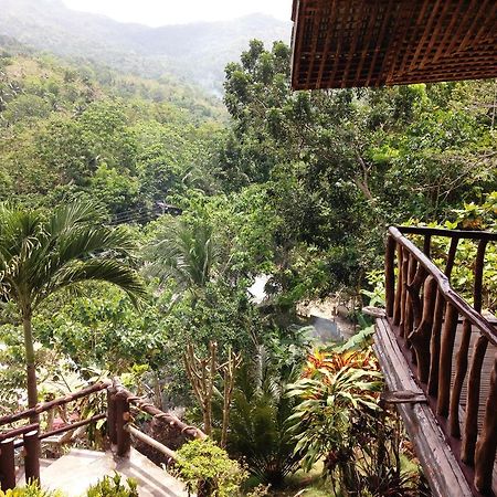 Hilltop Cottages Loboc Exteriör bild