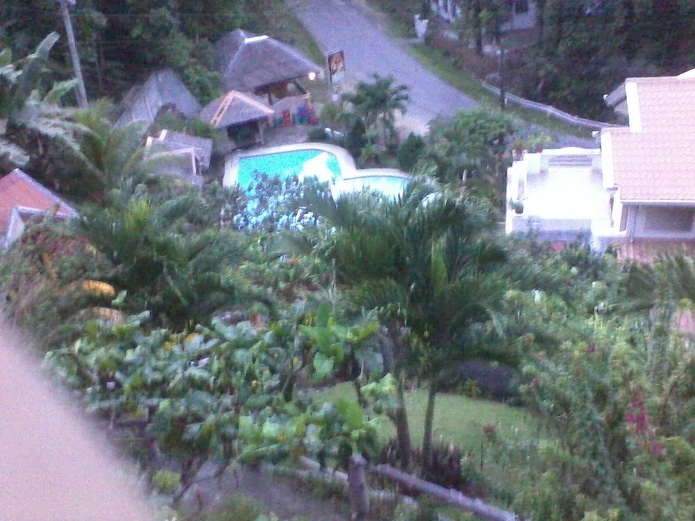 Hilltop Cottages Loboc Exteriör bild